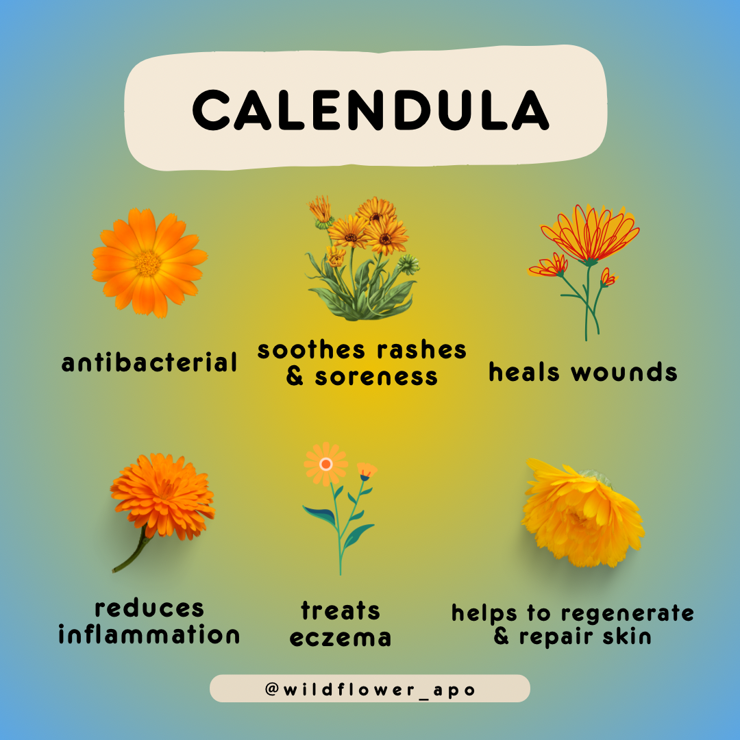 Calming Calendula Face & Body Butter